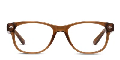 Muse Decode Brown