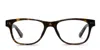 Muse Decode Tortoise In Tortoise