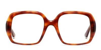 Muse Del Mar Tortoise