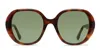 Muse Dig It Tortoise In Tortoise