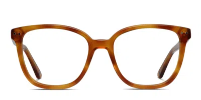 Muse Eloquence Tortoise,orange