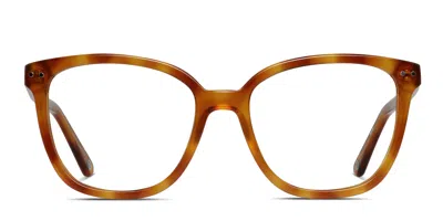 Muse Eloquence Tortoise,orange