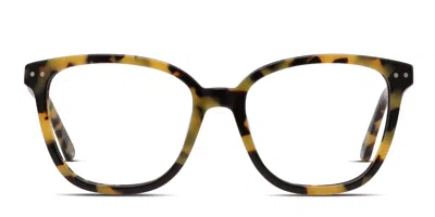 Muse Eloquence Tortoise,yellow