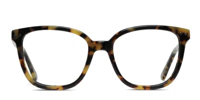 Muse Eloquence Tortoise,yellow