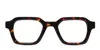 Muse Flight Tortoise In Tortoise