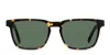 Muse Gateway Tortoise In Tortoise