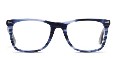 Muse Gilford Blue,tortoise