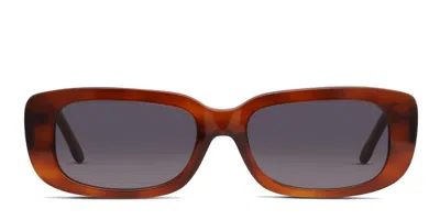 Muse Gleam Brown,tortoise