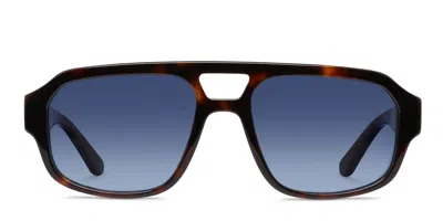 Muse Hopkins Brown,tortoise