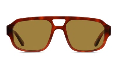 Muse Hopkins Tortoise