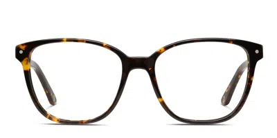 Muse Hopper Tortoise