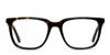 Muse Jojo Tortoise In Tortoise