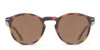 Muse Joseph Tortoise In Tortoise