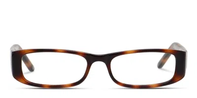 Muse Karri Tortoise