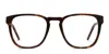 Muse Kenyon Tortoise In Tortoise