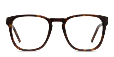 Muse Kenyon Tortoise