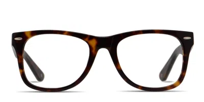 Muse M Classic Brown,tortoise