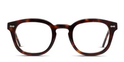 Muse Mitchum Brown,tortoise