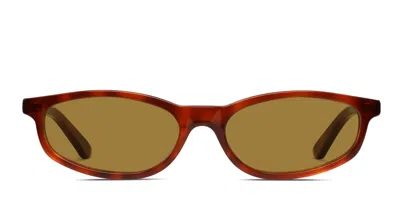 Muse Monroe Brown,tortoise