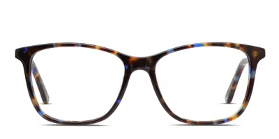 Muse Nancy Tortoise,blue