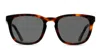 Muse Nick Brown,tortoise In Brown,tortoise