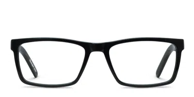 Muse Openfield Shiny Black