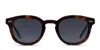 Muse Optimum Brown,tortoise In Brown,tortoise