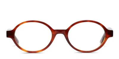 Muse Pacific Brown,tortoise