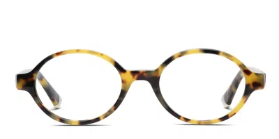 Muse Pacific Tortoise,yellow