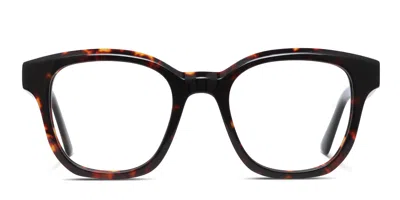Muse Rancho Brown,tortoise