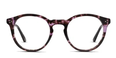 Muse Rocky Tortoise,purple