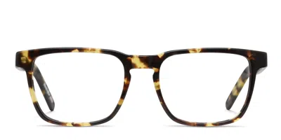 Muse Seascape Tortoise