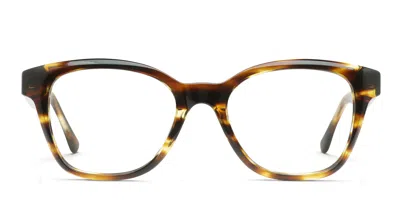 Muse Shyla Brown,tortoise