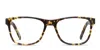 Muse Sweep Tortoise In Tortoise
