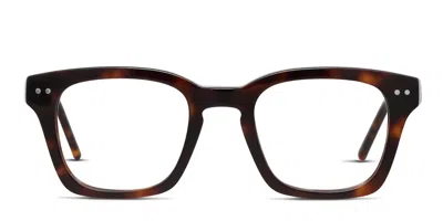 Muse Toppin Glasses Brown,tortoise