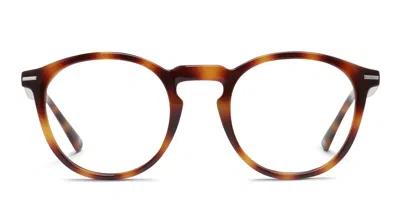 Muse Zenith Tortoise