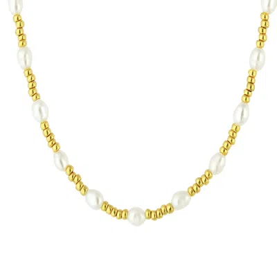 Musebox London Women's Gold Bead & Freshwater Pearl Choker Necklace
