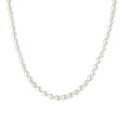 Musebox London Women's White Freshwater Pearl Choker Necklace