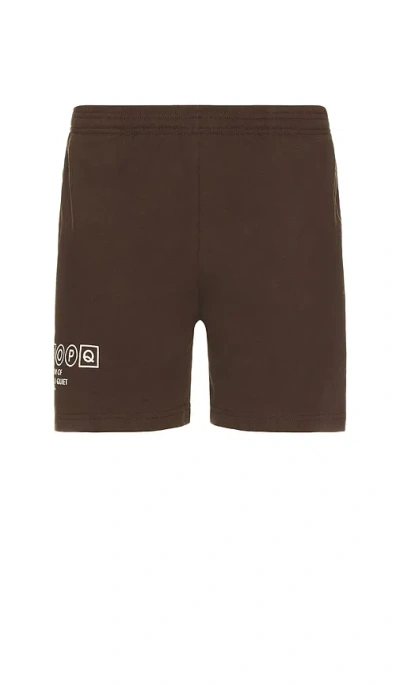 Museum Of Peace And Quiet Simple Living Sweatshorts In Brown