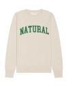 MUSEUM OF PEACE AND QUIET NATURAL JACQUARD KNIT SWEATER