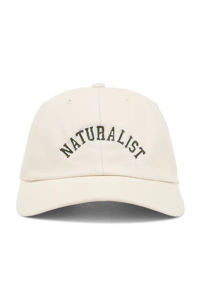 Museum Of Peace And Quiet Naturalist Dad Hat In Bone