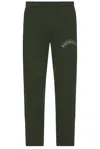 Museum Of Peace And Quiet Naturalist Sweatpants In Forest