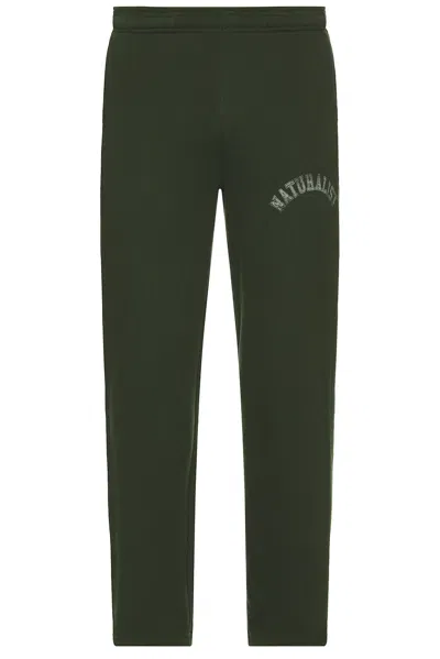 Museum Of Peace And Quiet Naturalist Sweatpants In Forest