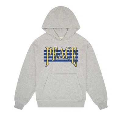 Pre-owned Museum Of Peace And Quiet Museum Of Peace & Quiet Seventies Hoodie 'grey' | Men's Size Xl
