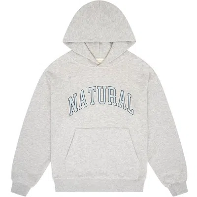 Museum Of Peace And Quiet Unisex - Natural Hoodie Sweater In Ash In Gray