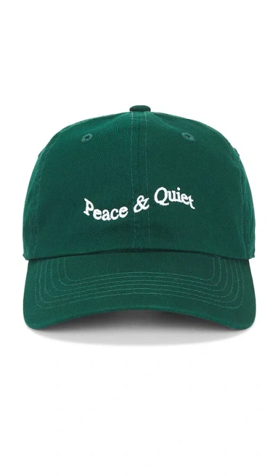 Museum Of Peace And Quiet Wordmark Tye Dye Dad Hat In Green