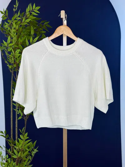 Mustard Seed Women's Swift Sweater In Cream In White