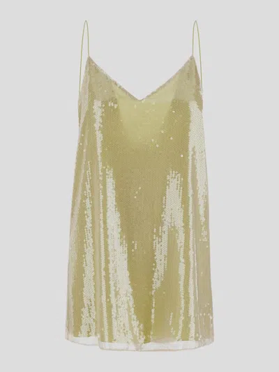 Mvp Wardrobe Dresses