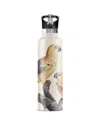 My Bougie Bottle Neutrals Perico Sun Parakeet Insulated Water Bottle Black Lid
