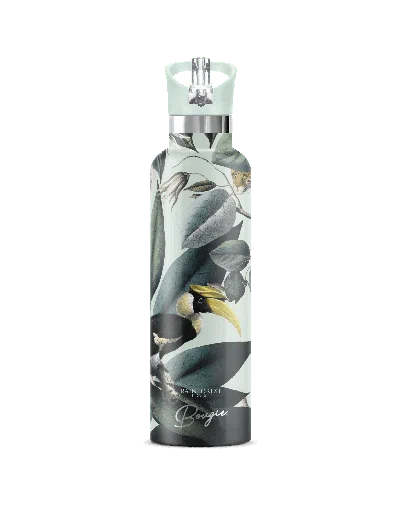 My Bougie Bottle Women's Green Rainforest Trust Jungle Insulated Water Bottle Jade Lid In Gray